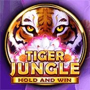 Game Slot Nổ Hũ Phổ Biến